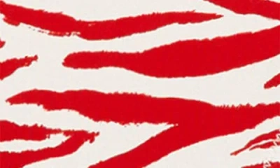 Mango Zebra Bikini Bottoms In Multi