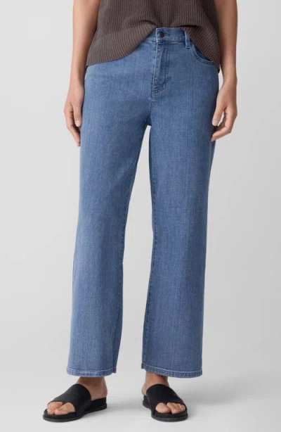 Eileen Fisher High Rise Straight Ankle Jeans In Blue