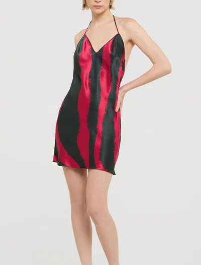 Roberto Cavalli Striped Dress In Black