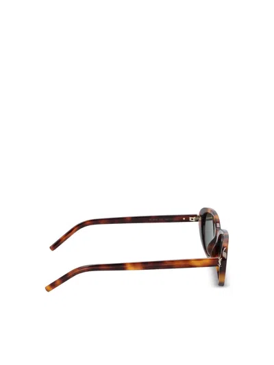 Saint Laurent Glasses In Brown