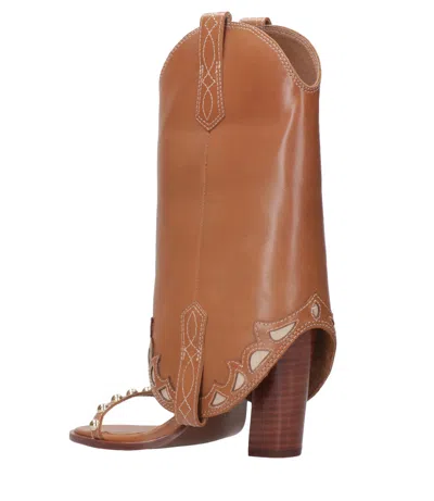 Ash Boots Leather Brown In Brown