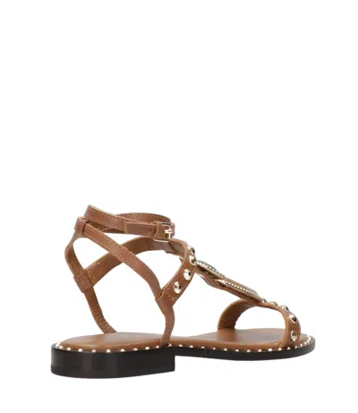 Ash Sandals In Brown