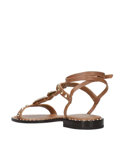 Ash Sandals In Brown