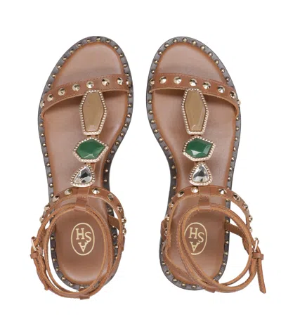 Ash Sandals In Brown