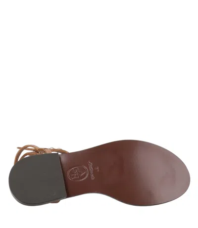 Ash Sandals In Brown