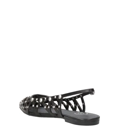 Ash Pointed-toe Studded Shoes In Multi