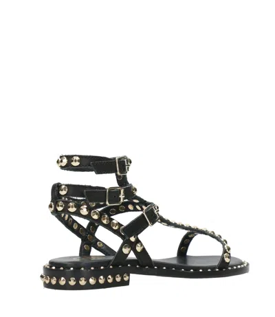 Ash Flat Sandals Three Ankle Straps Studs In Black