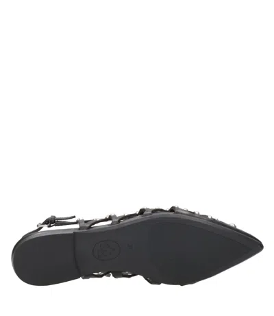 Ash Pointed-toe Studded Shoes In Multi