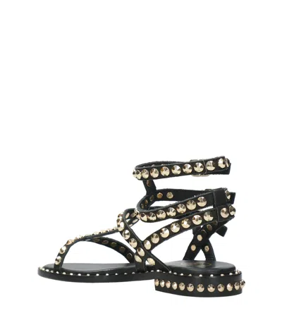 Ash Flat Sandals Three Ankle Straps Studs In Black