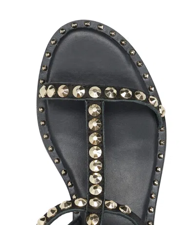 Ash Flat Sandals Three Ankle Straps Studs In Black