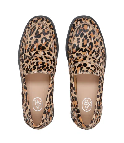 Ash Sandals Spotted In Multi