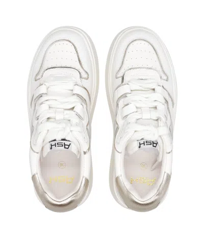 Ash Sneakers In White