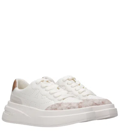 Ash Sneakers In White