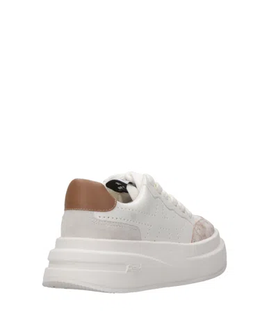 Ash Sneakers In White