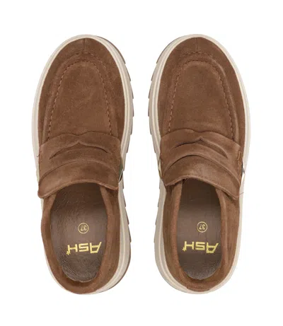 Ash Sneakers Brown In Multi