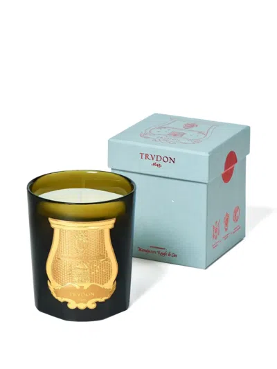 Trudon Cyrnos Mediterranean Aromas Candle In Green