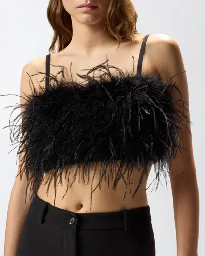 Pinko Crop Top With Feather Detailing In Black