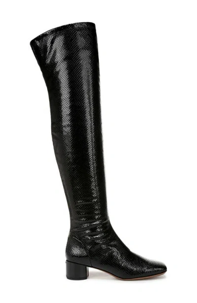 Franco Sarto Talfer Tall Boot In Black