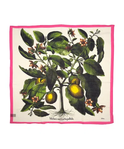 Echo New York Echoplant Oversized Square Scarf In Black