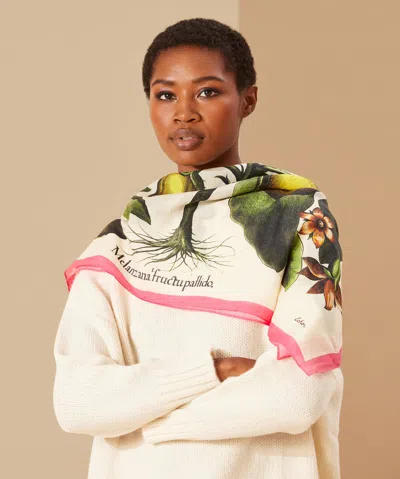 Echo New York Echoplant Oversized Square Scarf In Black