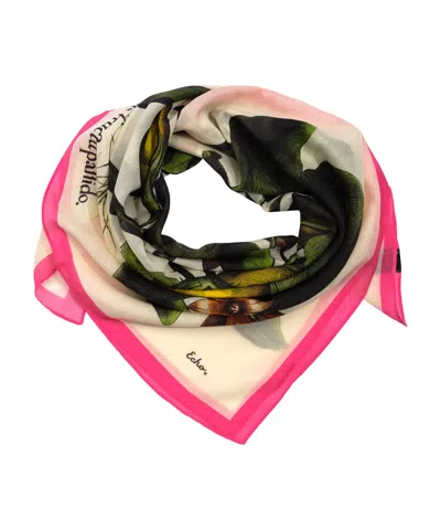 Echo New York Echoplant Oversized Square Scarf In Black