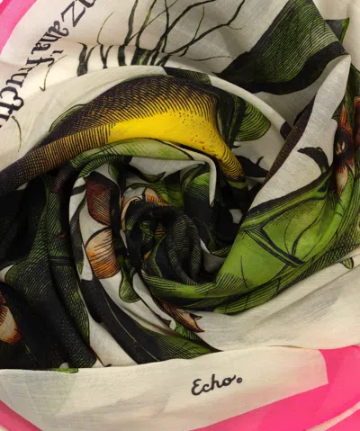 Echo New York Echoplant Oversized Square Scarf In Black