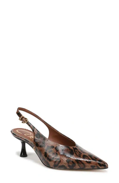 Circus Ny By Sam Edelman Women's Fawn High-vamp Pointed Toe Pumps In Brown