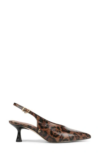 Circus Ny By Sam Edelman Women's Fawn High-vamp Pointed Toe Pumps In Brown