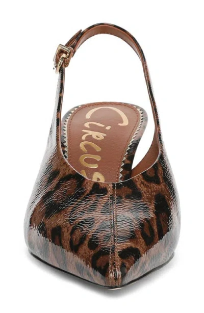 Circus Ny By Sam Edelman Women's Fawn High-vamp Pointed Toe Pumps In Brown