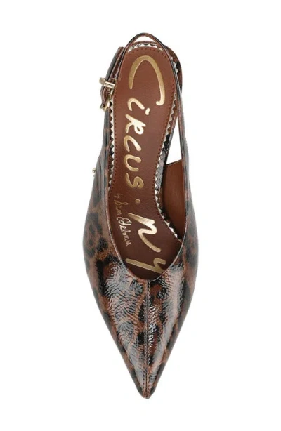 Circus Ny By Sam Edelman Women's Fawn High-vamp Pointed Toe Pumps In Brown