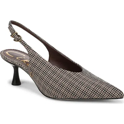 Circus Ny By Sam Edelman Women's Fawn High-vamp Pointed Toe Pumps In Multi