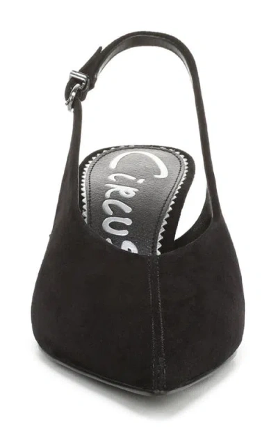 Circus Ny By Sam Edelman Women's Fawn High-vamp Pointed Toe Pumps In Black