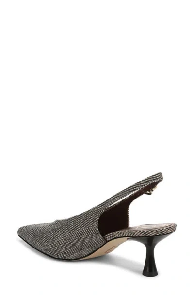 Circus Ny By Sam Edelman Women's Fawn High-vamp Pointed Toe Pumps In Multi