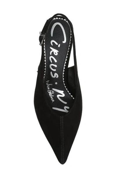 Circus Ny By Sam Edelman Women's Fawn High-vamp Pointed Toe Pumps In Black