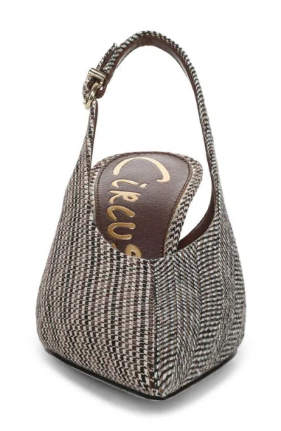 Circus Ny By Sam Edelman Women's Fawn High-vamp Pointed Toe Pumps In Multi