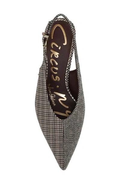 Circus Ny By Sam Edelman Women's Fawn High-vamp Pointed Toe Pumps In Multi