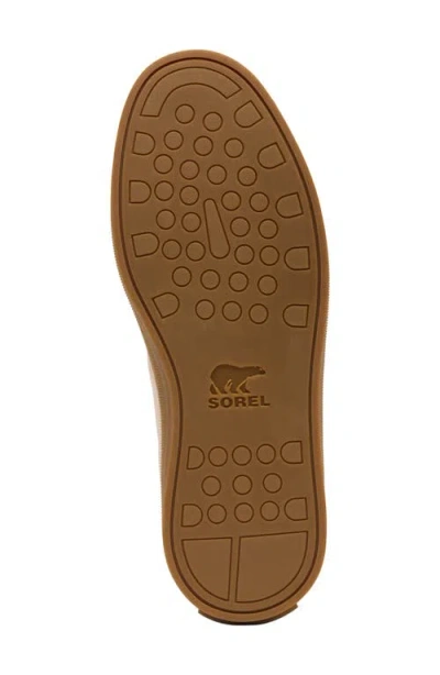 Sorel Cyprus Lx™ Sneaker In Neutral