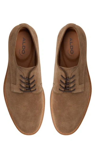 Aldo Raiden In Dark Brown In Multi