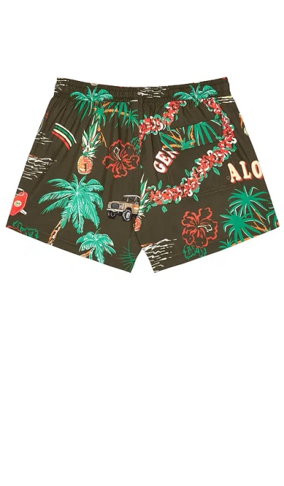 Duvin Design Palm Swim Short In Brown