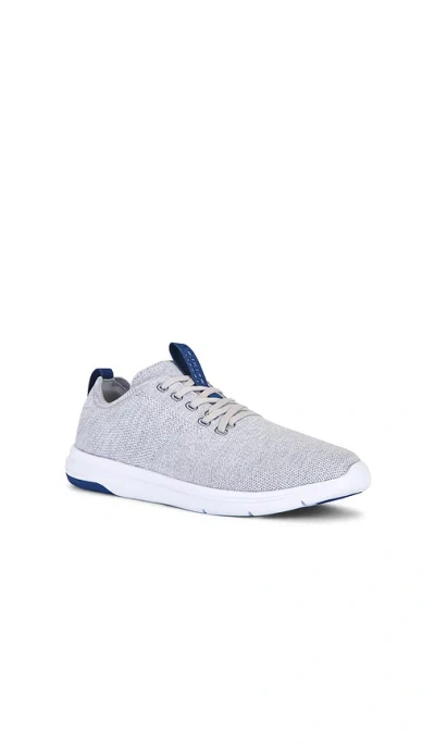 THE DAILY LITE 运动鞋