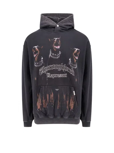 Represent Vintage Black Hoodie With Doberman Graphic And Classic Features In Blue
