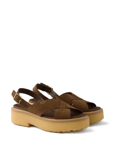 Prada Suede Platform Sandals With 5.5 Cm Sole In Brown