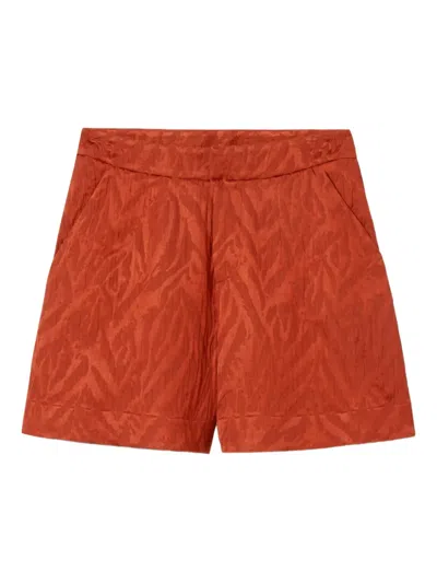 La Doublej Animal-print Shorts In Red