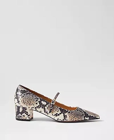 Ann Taylor Snake Print Pointy Toe Block Heel Pumps In Black