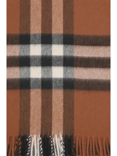Burberry Cashmere Scarf With Embroidered Fringed Edges In Brown