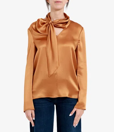 Alberta Ferretti Long-sleeved Shirt In Brown