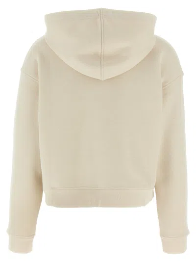 Weekend Max Mara Hooded Sweatshirt With Front Pockets And Ribbed Cuffs In Gray