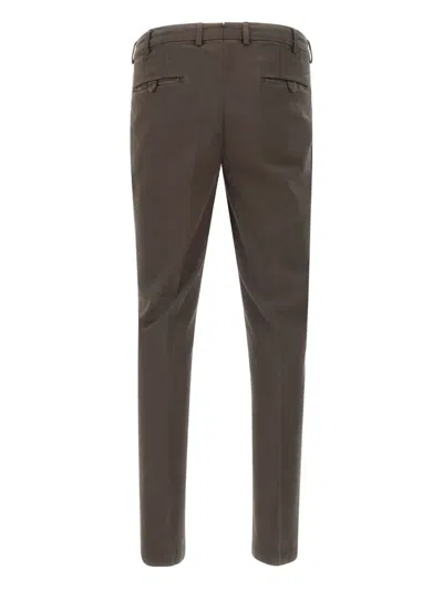 Devore Pleated Trousers In Brown