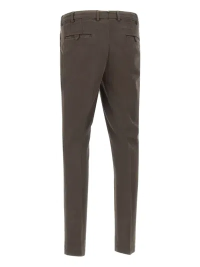 Devore Pleated Trousers In Brown