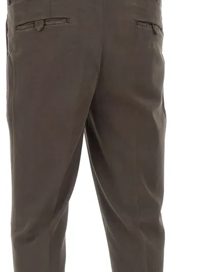Devore Pleated Trousers In Brown